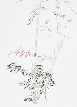 gallery/anthropoflora-002