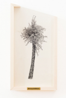 gallery/right-tree-right-place-015