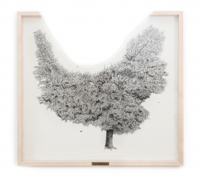 gallery/right-tree-right-place-003