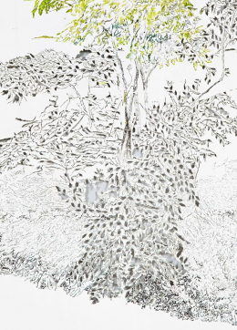 gallery/anthropoflora-006