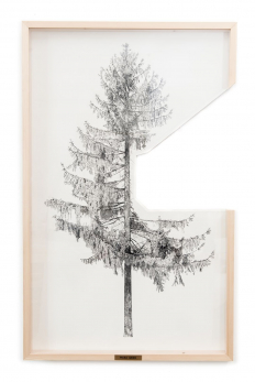 gallery/right-tree-right-place-001