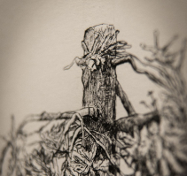 gallery/right-tree-right-place-014