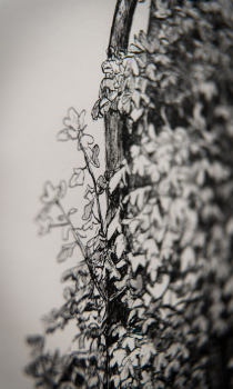 gallery/right-tree-right-place-010