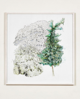 gallery/anthropoflora-009