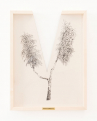 gallery/right-tree-right-place-007