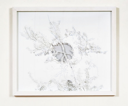 gallery/anthropoflora-003