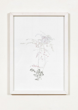 gallery/anthropoflora-001