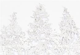 gallery/parasite-006