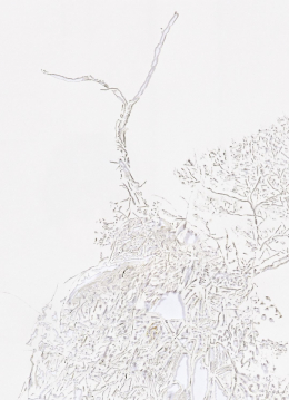 gallery/parasite-002