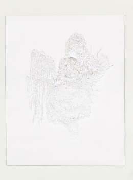 gallery/parasite-009