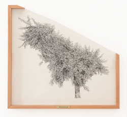 gallery/right-tree-right-place-011