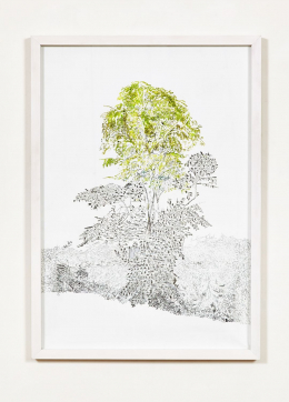 gallery/anthropoflora-005