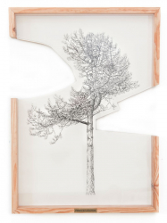 gallery/right-tree-right-place-006